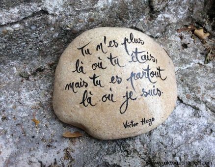 Une  Marguerite... 16 Novembre...